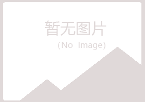 长宁县夏岚能源有限公司